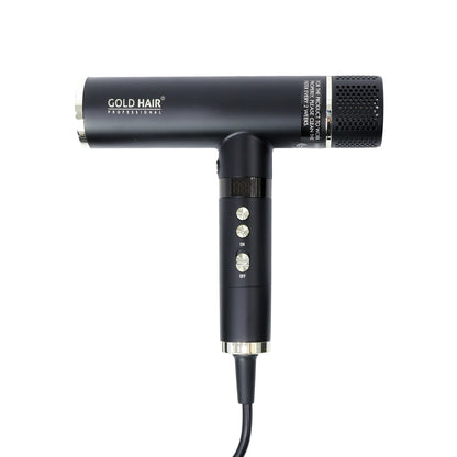 Gold Hair Professional Hair Master Dryer