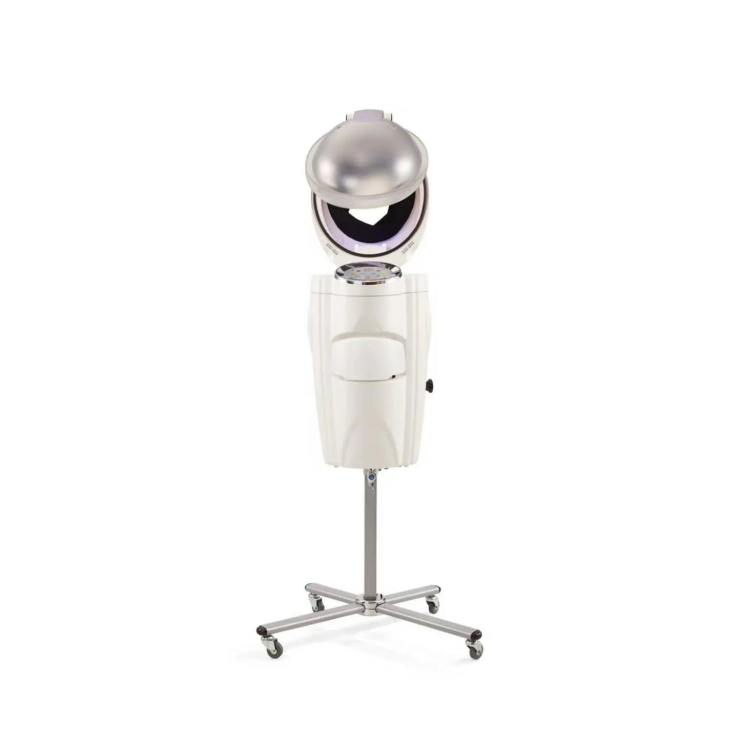 Micro Mist Hair Steamer Beauty Palm