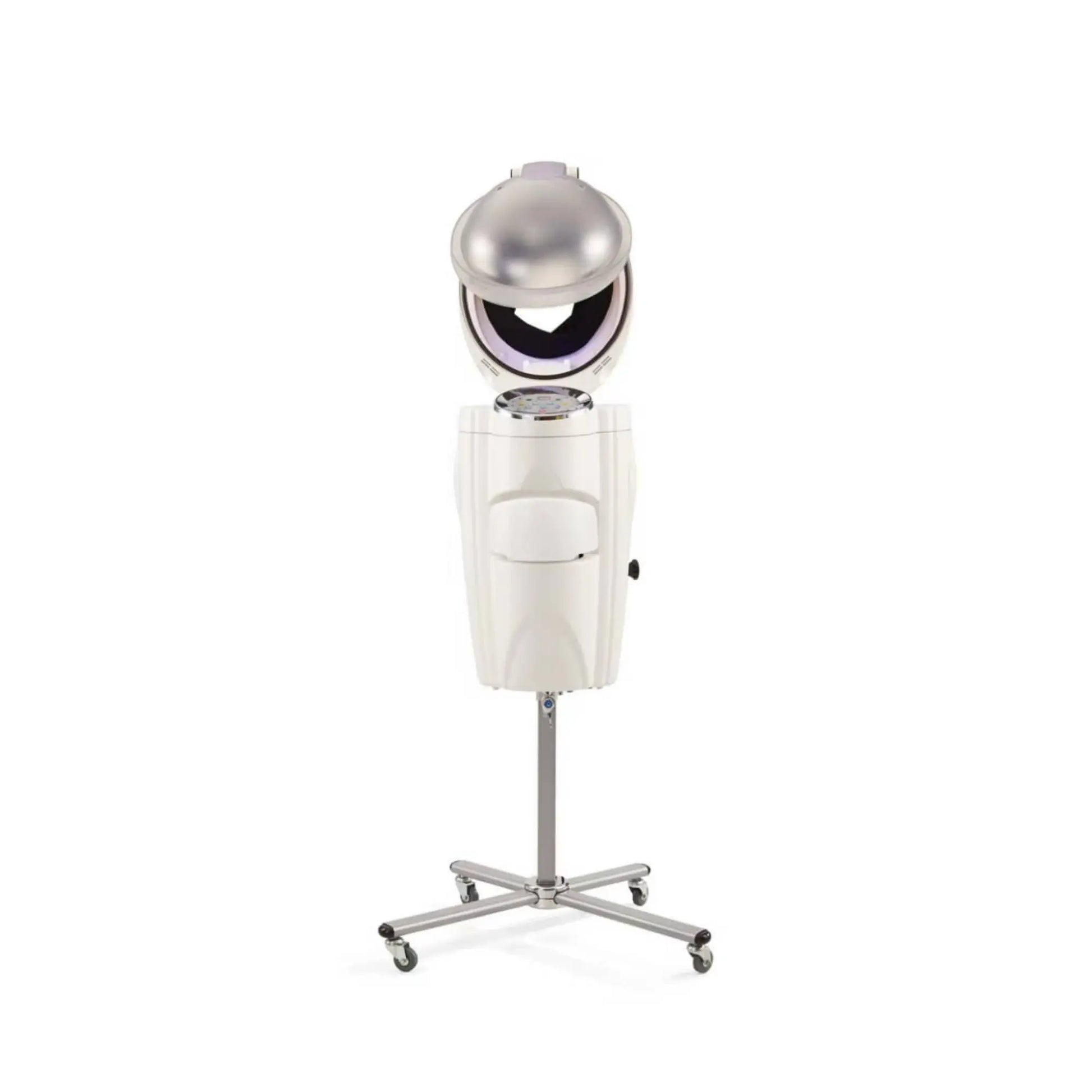 Micro Mist Hair Steamer Beauty Palm